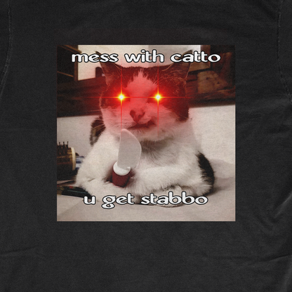 MESS WITH CATTO