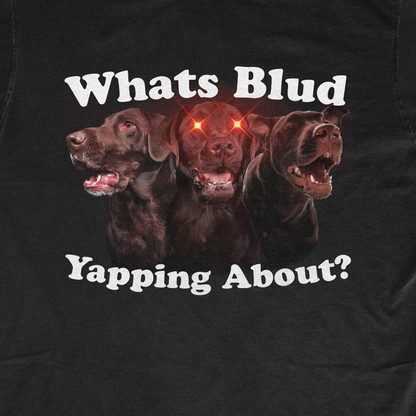 WHATS BLUD YAPPING ABOUT