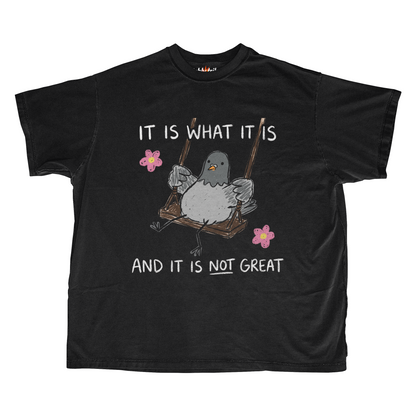 IT IS WHAT IT IS AND IT IS NOT GREAT