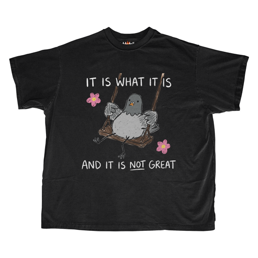 IT IS WHAT IT IS AND IT IS NOT GREAT